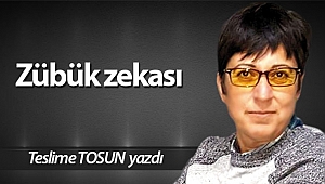 Zübük zekası