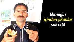 Ağzının içerisindeki sert cismi çıkarınca şaşkına döndü! (Videolu)