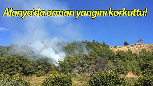 Alanya'da orman yangını korkuttu!