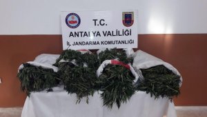 Alanya'da uyuşturucu tacirine ceza yağdı