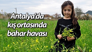 Antalya'da kış ortasında bahar havası