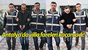 Antalya'da villa fareleri kaçamadı!
