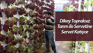 Dikey topraksız tarım ile 9 dönem ürün alıyor
