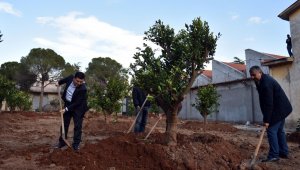 Dokuma parkına portakal bahçesi