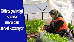Gölete çevirdiği serada maruldan servet kazanıyor (videolu)