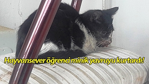 Hayvansever öğrenci minik yavruyu kurtardı
