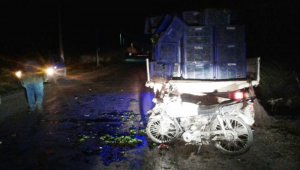 Kamyonete çarpan motosikletli hayatını kaybetti