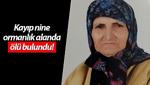 Kayıp nine ormanlık alanda ölü bulundu!