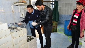 Kumluca'da balıkçı esnafı denetlendi