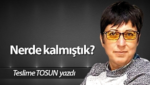 Nerde kalmıştık?