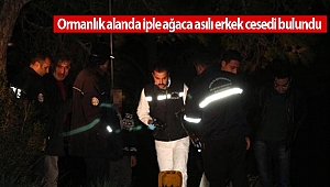 Ormanlık alanda iple ağaca asılı erkek cesedi bulundu 