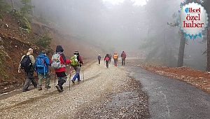 TODOSK’LU doğaseverlerin yol  arkadaşları sis ve tavşanlar oldu 