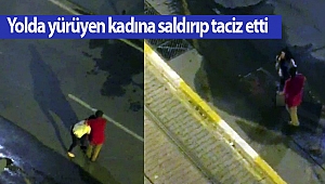 Yolda yürüyen kadına saldırıp taciz etti (videolu)