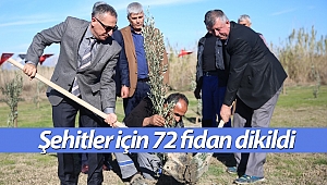 Antalya'da şehitler için 72 zeytin fidanı dikildi!