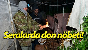 Antalya'da seralarda don nöbeti! (Videolu)