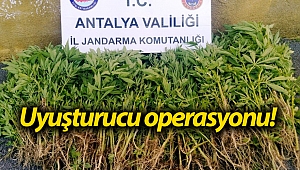 Antalya'da uyuşturucu operasyonu!