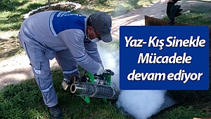 Büyükşehir'den sinekle larva döneminde mücadele