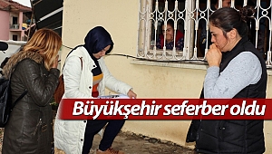 Büyükşehir fırtınanın izlerini siliyor