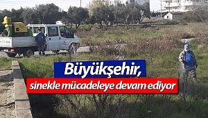 Büyükşehir, sinekle mücadeleye devam ediyor