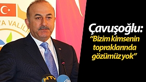 Çavuşoğlu: 