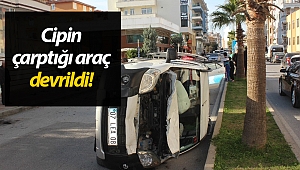 Manavgat'ta cipin çarptığı araç devrildi: 2 yaralı!