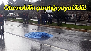 Otomobilin çarptığı yaya öldü!