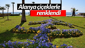 Alanya çiçeklerle renklendi