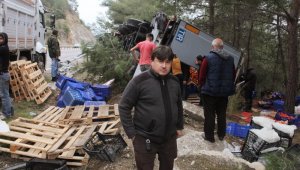 Antalya'da önüne domuz sürüsü çıkan tır devrildi!