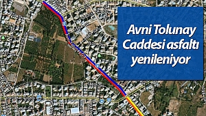  Avni Tolunay Caddesi asfaltı yenileniyor