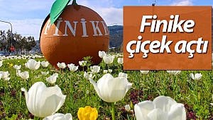 Finike sokakları çiçek bahçesine döndü