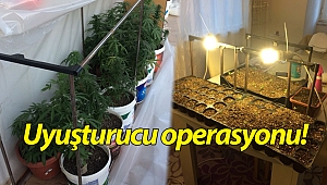 Manavgat'ta uyuşturucu operasyonu!