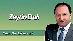 Zeytin Dalı
