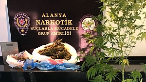 Alanya'da uyuşturucu operasyonu!