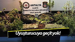 Alanya'da uyuşturucu operasyonu!