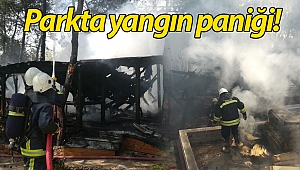 Antalya Atatürk Parkı'nda korkutan yangın! (Videolu)