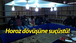 Antalya'da evde horoz dövüşüne suçüstü!