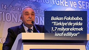 Bakan Fakıbaba, 