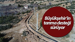 Büyükşehir'den Elmalı tarımına destek
