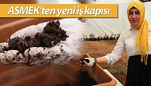 Girişimcilerin gözdesi ‘Solucan Gübresi’