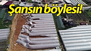 Hortum, onlarca sera içerisinden sadece bir tanesini vurdu! (Videolu)
