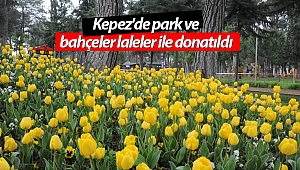 Kepez'de park ve bahçeler laleler ile donatıldı