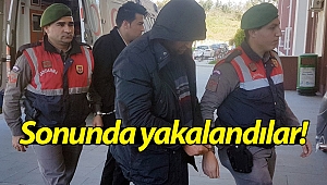 Manavgat'ta çamlık gaspçıları yakalandı!