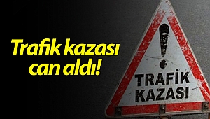 Manavgat'ta trafik kazası kaza: 1 ölü!