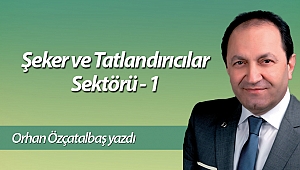 Şeker ve Tatlandırıcılar Sektörü - 1 