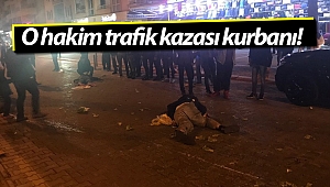 Türkiye'nin en önemli davalarına bakan emekli hakim Alanya'da trafik kazası geçirdi!