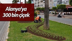 Alanya'ya 300 bin çiçek