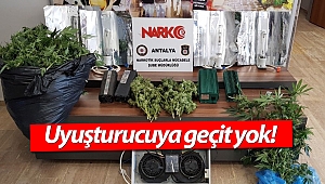 Antalya'da esrar maddesi ve hint keneviri ele geçirildi!