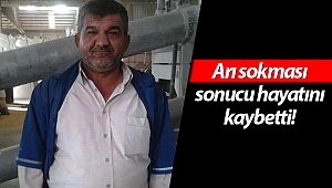 Arının soktuğu arıcı hayatını kaybetti!