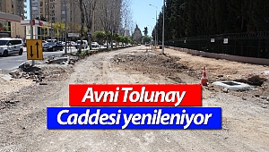 Avni Tolunay Caddesi yenileniyor