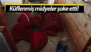 Büyükşehir'den midye dolma operasyonu! (Videolu)